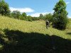 Trail vs. Kuhweide bei Ilmnitz
