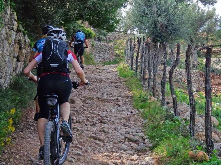 Leichte Kletterpartie Leichte Kletterpartie