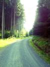 Start der Tour auf gütlichen Waldwegen