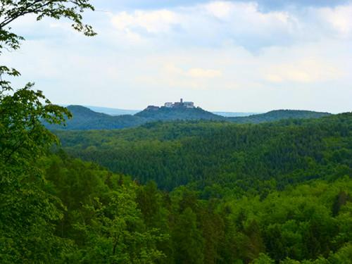 Blick auf die Wartburg