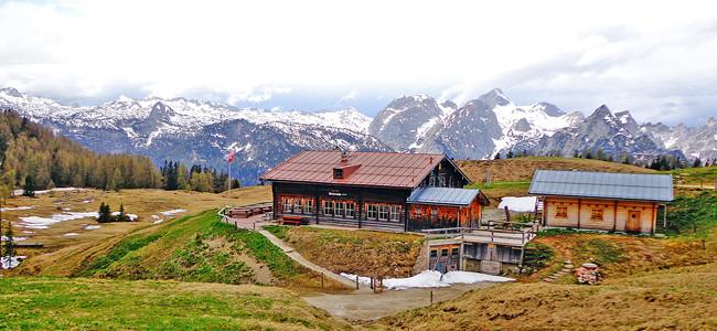 Die Gotzenalm