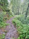 Steiler Trail